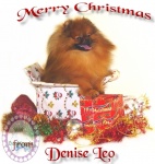 Australian Multi BISA, BISS Supreme Champion Dochlaggie Desoto 