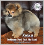 1rocky23.jpg
