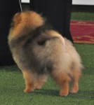 rockybackend.jpg