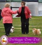Champion Dochlaggie Done Deal