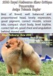 best of breed