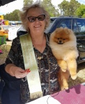 Dochlaggie Dont Stop Believing